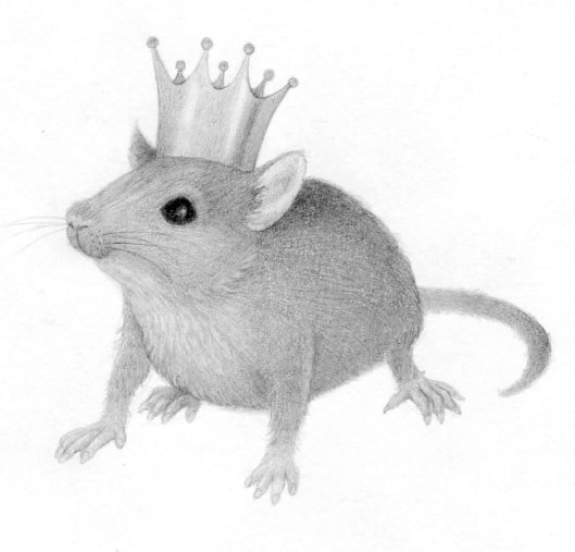 "King Mousey" pencil study by Gina Matarazzo